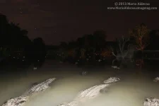 1377507532_night1.5-l.webp