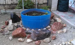 IMAG0559.webp
