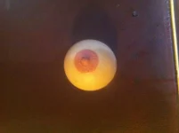 __________ 2.webp