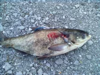 29082013184.webp