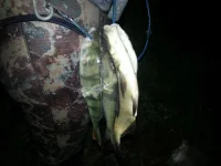 1149300.webp