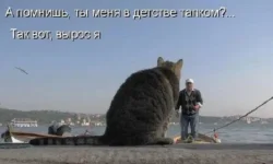 image001[1] (3)-Р.webp