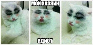 getImage.webp