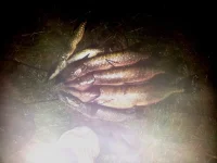 20130913_011455.webp