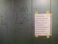 2246582.webp