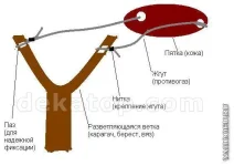 оружие 2.webp