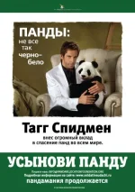 33573929.webp