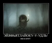 xvatitt.webp