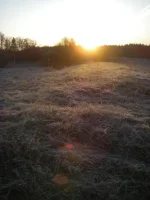 IMGP9546.webp