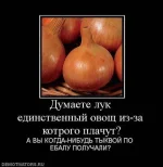 тыквой по ебалу.webp