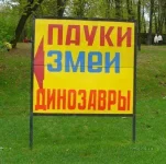 33.webp