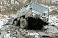 Pinzgauer 2.webp