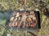 SDC12304.webp