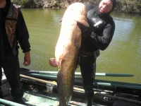 DSCN0053.webp