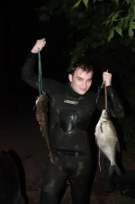 IMG 377_511x768.webp