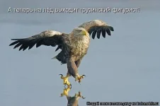 x_46a6b3e4.webp