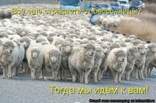 x_7deb9d35.webp