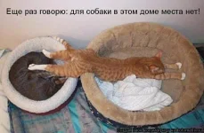 x_e351e686.webp