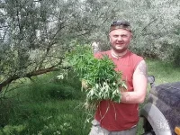 марихуанко.webp
