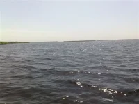 1 (6).webp