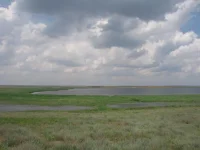 степь 001.webp