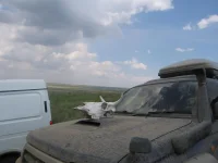 степь 002.webp