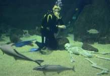 0_a91ce_ca249ee7_XL.webp