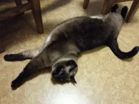 20131006_220518.webp