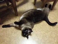 20131006_220524.webp