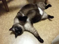20131006_220532.webp