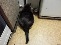 20131006_220804.webp