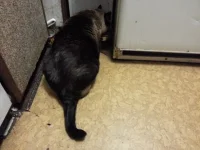 20131006_220843.webp