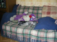 DSCN7786.webp