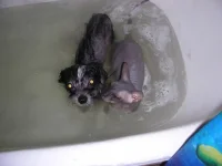 DSCN0840.webp