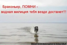 1253898153_364875.webp