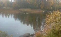 2013-10-08 13.54.39.webp