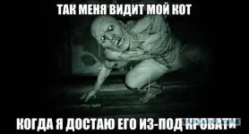 2345456.webp
