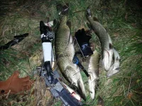 20131019_221837.webp