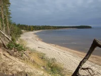 DSCF4252.webp