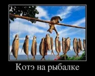 VNiRx7tEE9g-К.webp