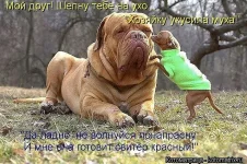 getImage.webp