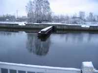 zadvighka.webp
