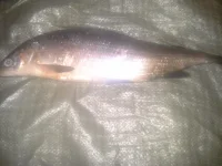 20131027_185102.webp