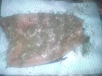 20131027_185704.webp