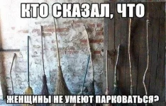 парковка.webp