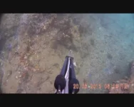 Нячанг 1 03.webp