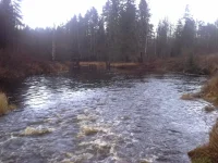 20131102_154757-1499486118.webp