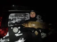 20131110_023701-565688181.webp