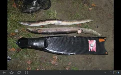 SC20131116-011745.webp