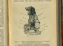 12.webp